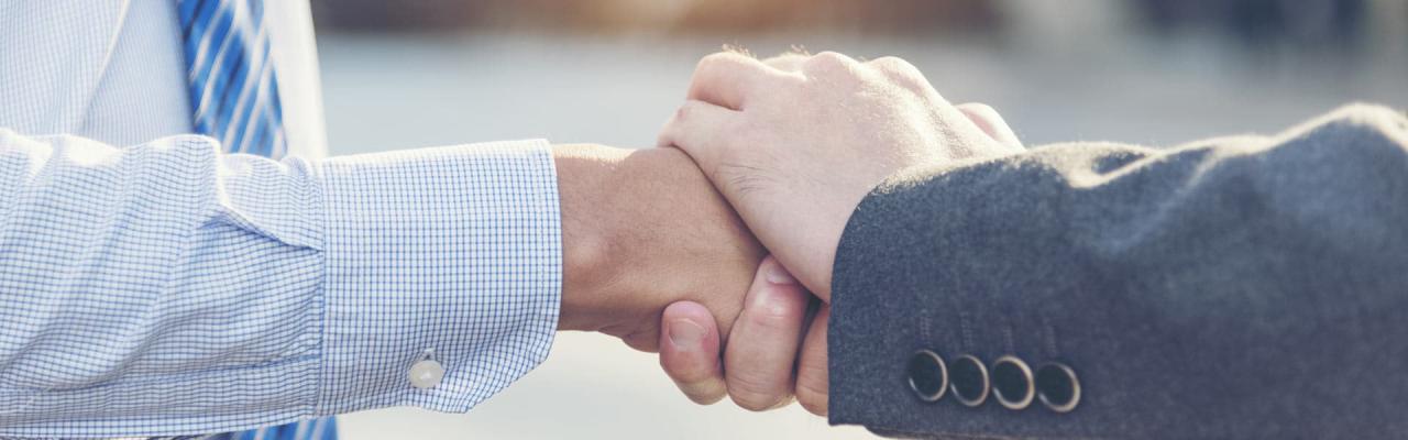 Erp partner