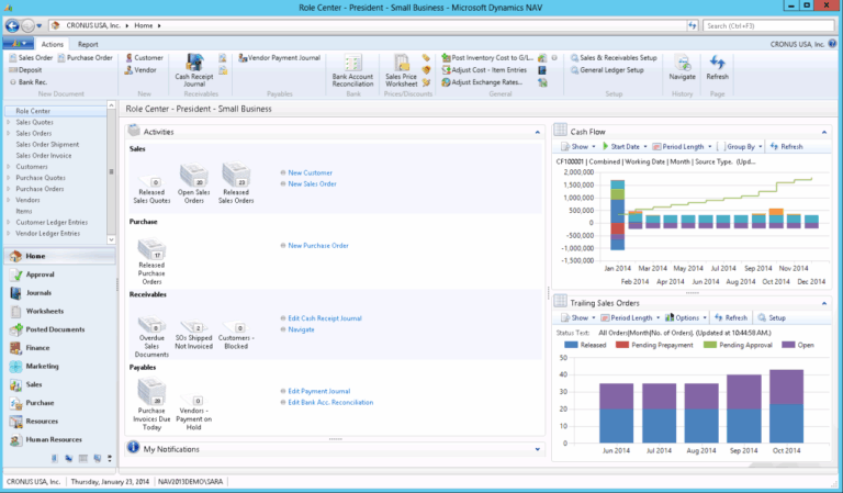Ms dynamics navision
