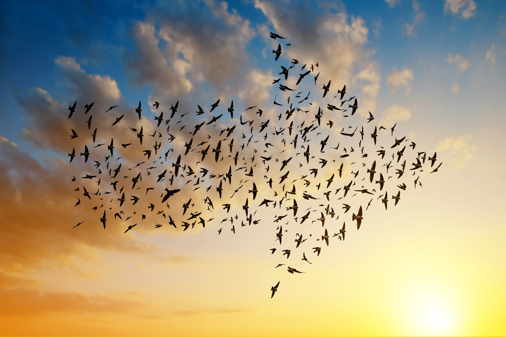 How to Migrate RMM